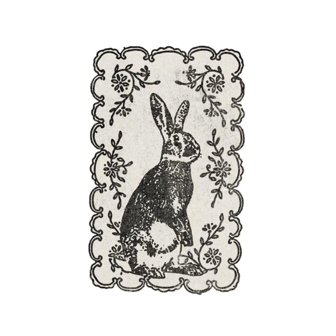bunny
